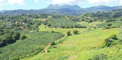 Potentiel de reconquête des friches agricoles